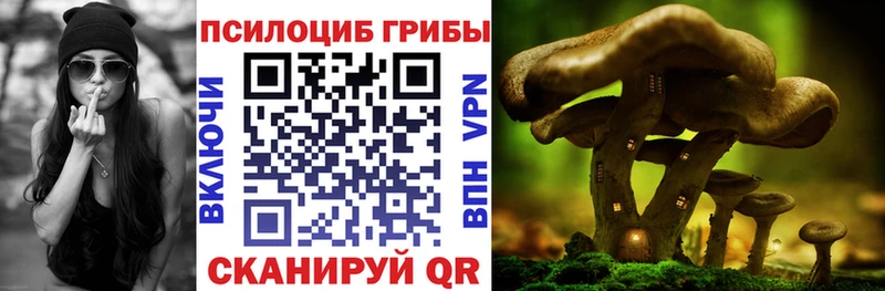 Галлюциногенные грибы прущие грибы  MEGA ТОР  Весьегонск  сколько стоит 